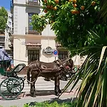 La Alcandora