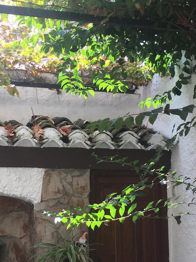 Patio Apartment Granada