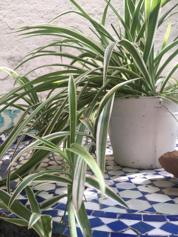 Apartment Patio *
