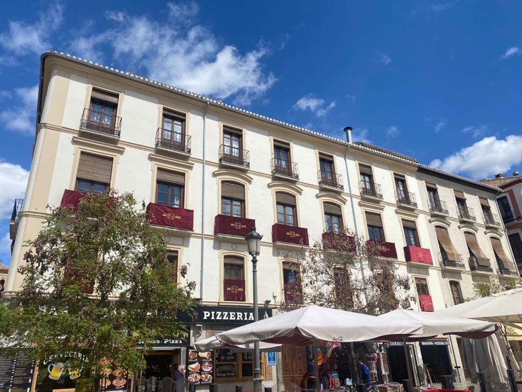 Bibo Plaza Nueva *