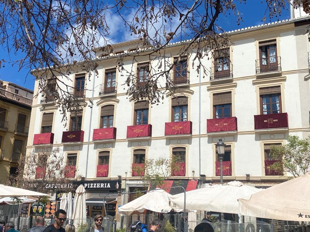 Bibo Plaza Nueva *