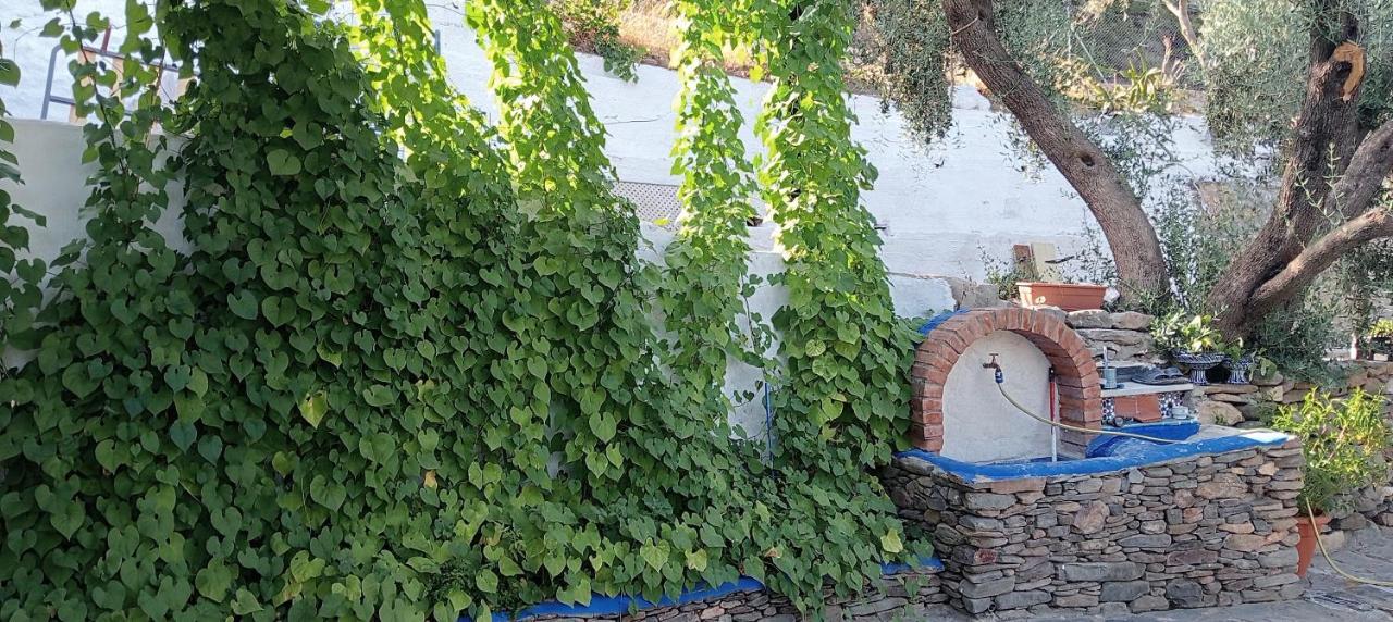 Cortijo Al Andalus Vakantiehuis Granada