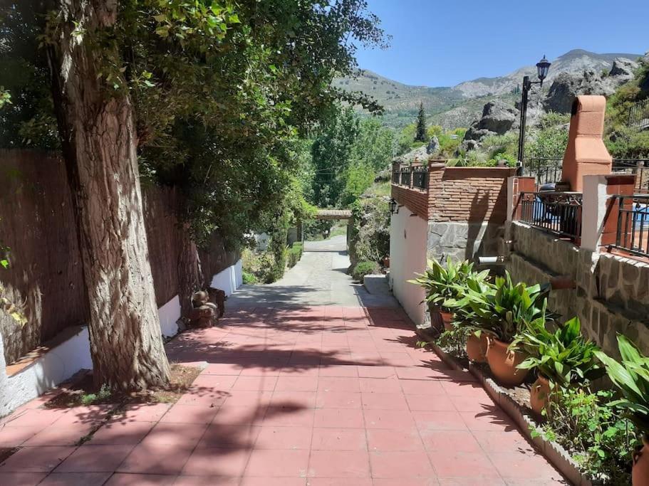 Cortijo La Mata *