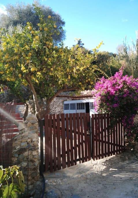Cortijo La Acequia
