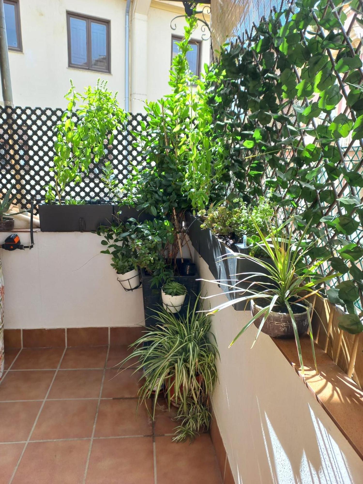 Atico Exclusivo En El Centro De Apartamento Granada