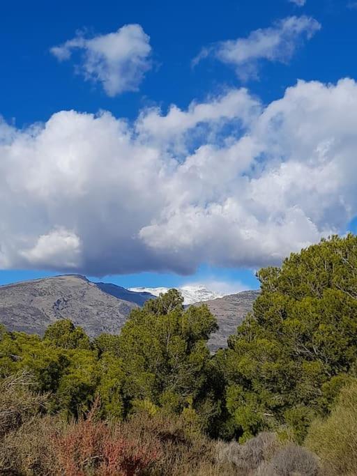 Cortijo La Acequia Holiday home *
