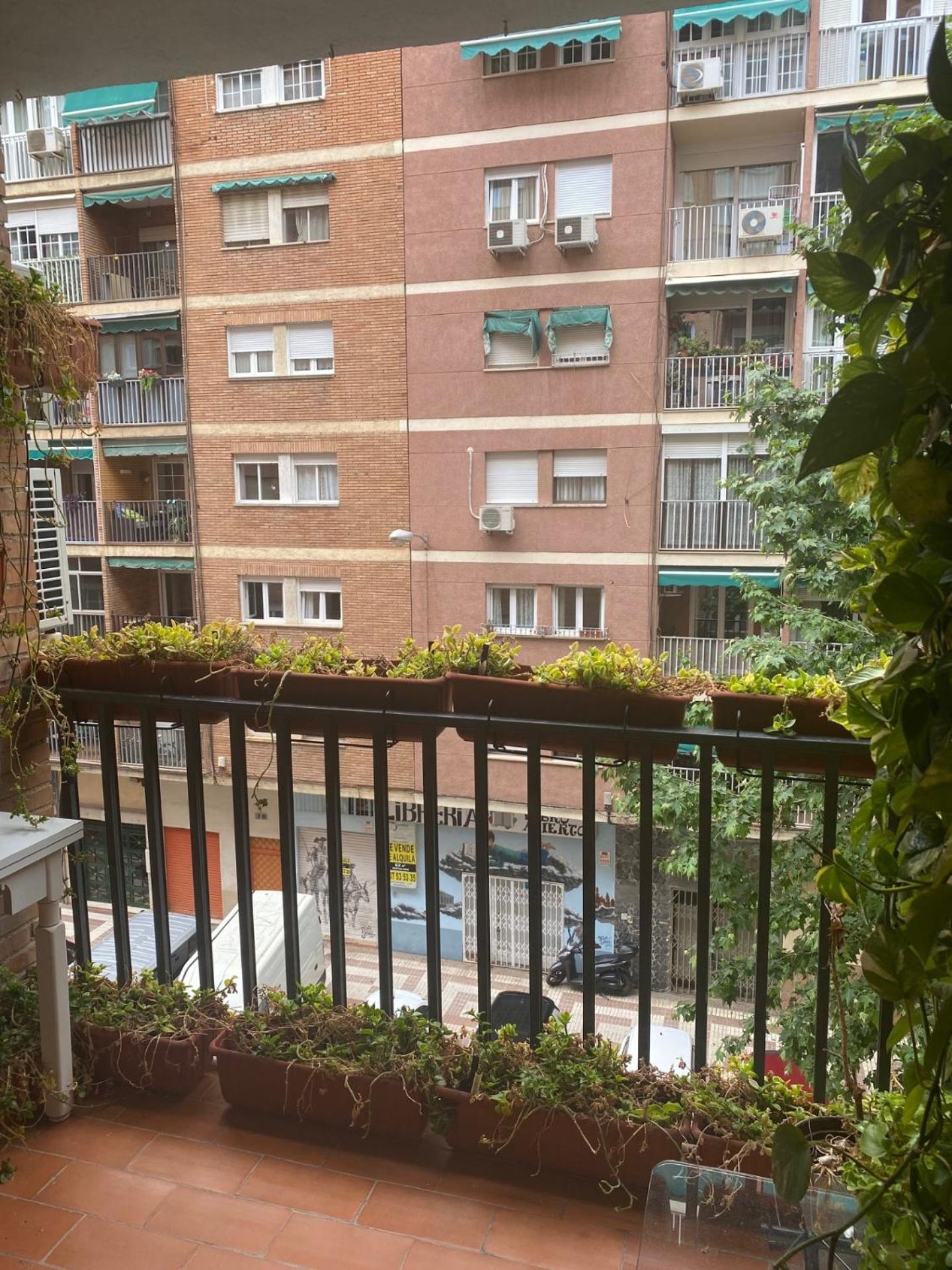 Poeta Zorrilla