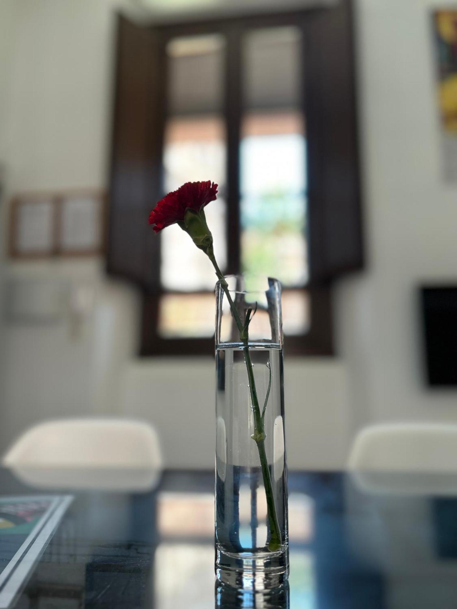 Romanilla Loft Apartment