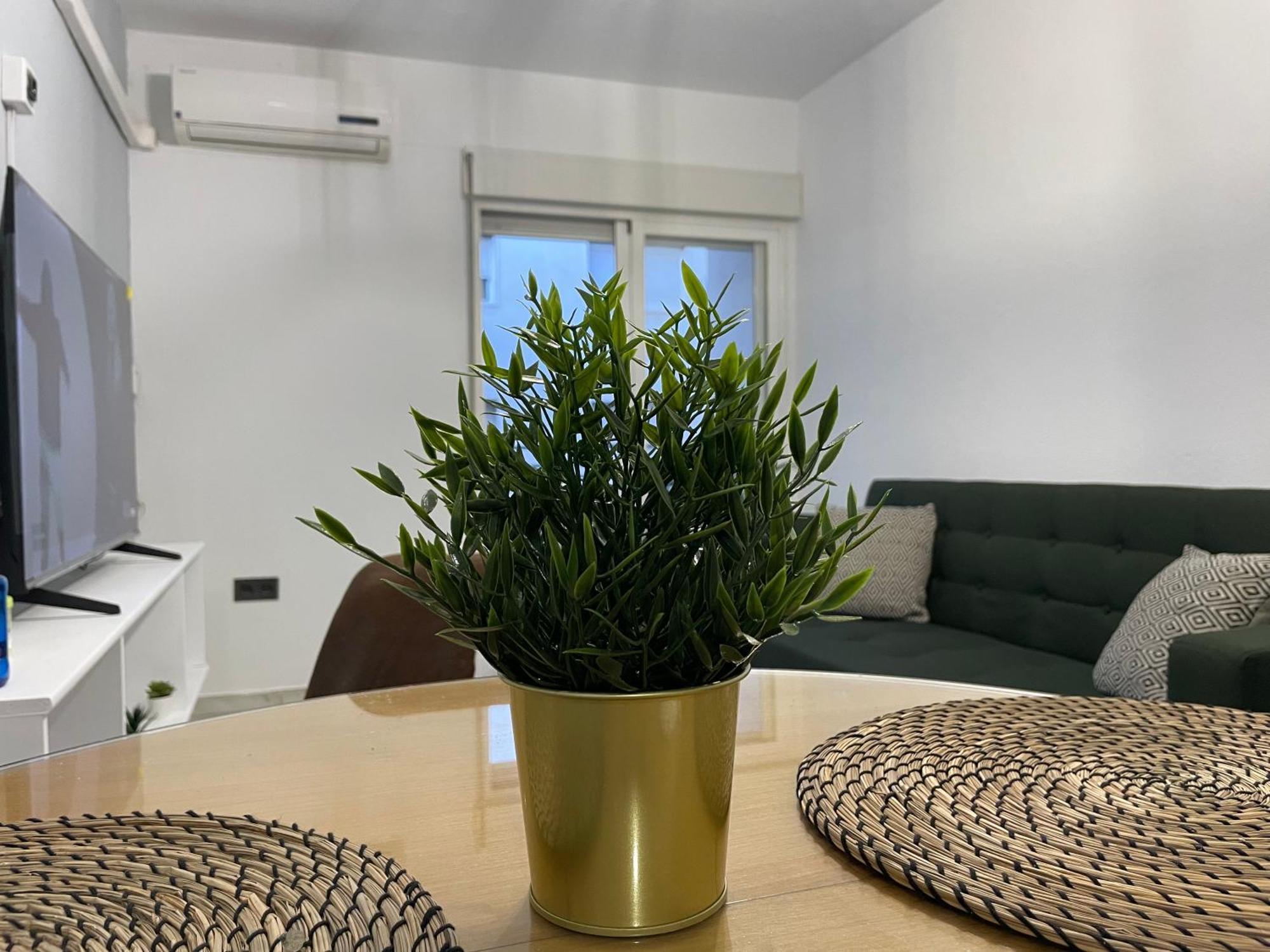 Apartment Fabulous In