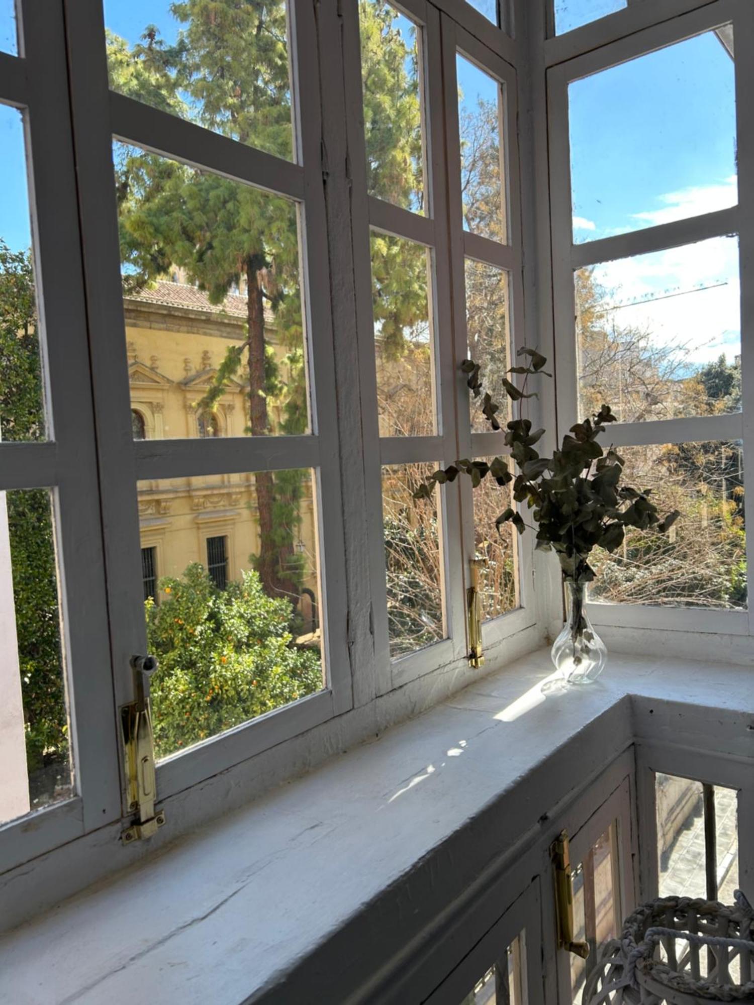 Apartamento Jardin Botanico
