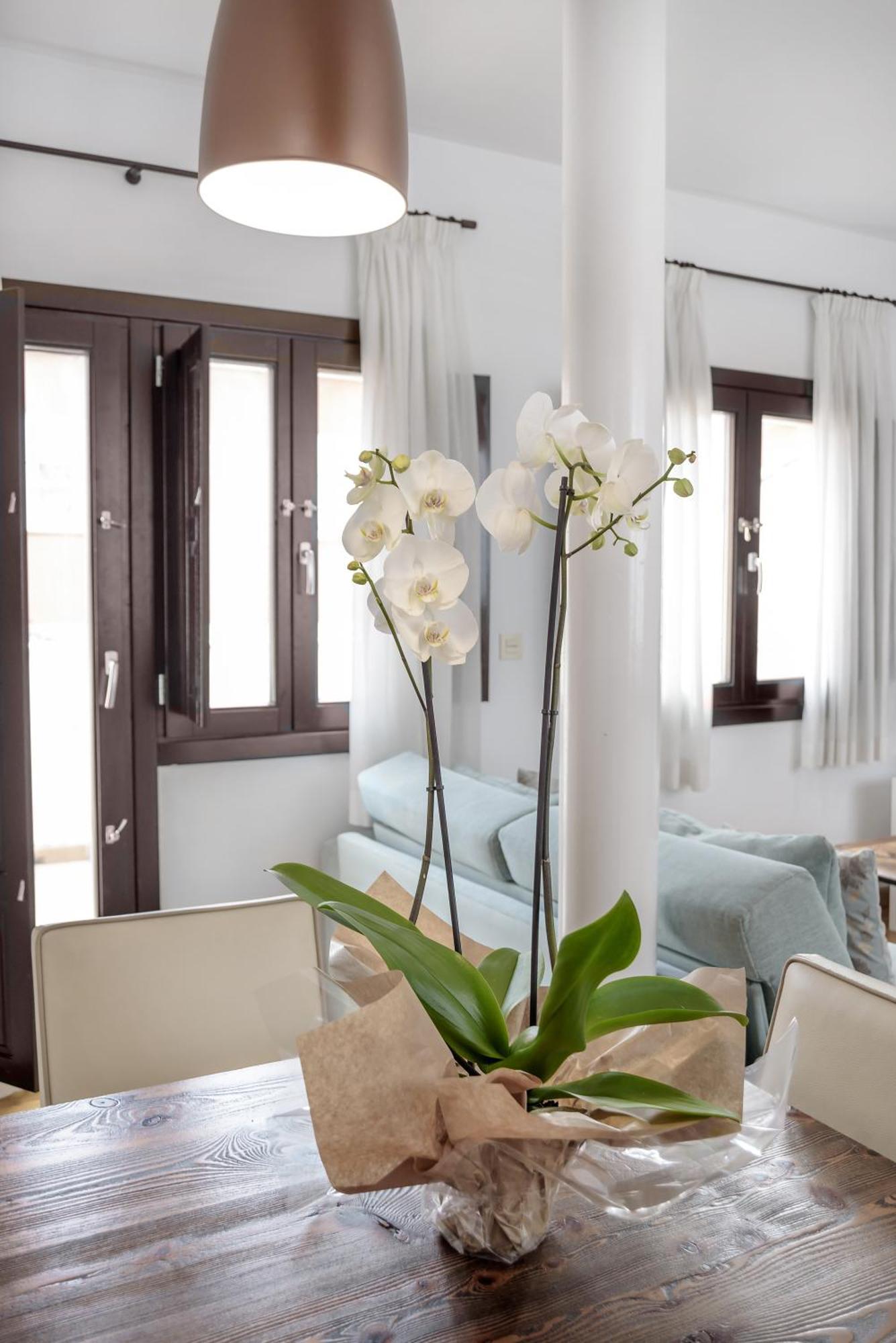 Apartamento Campo Del Principe Granada