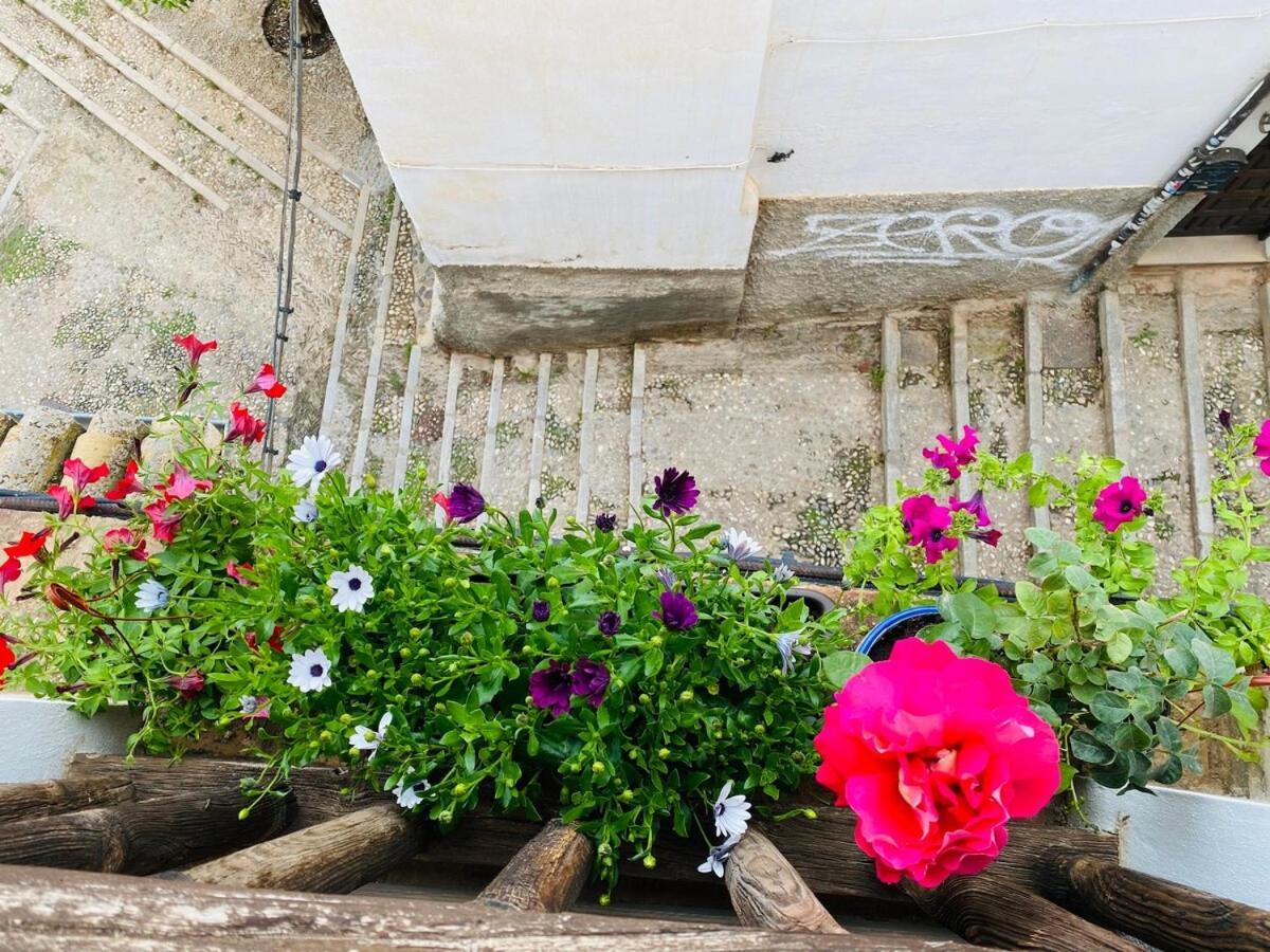 Charming With Alhambra View
