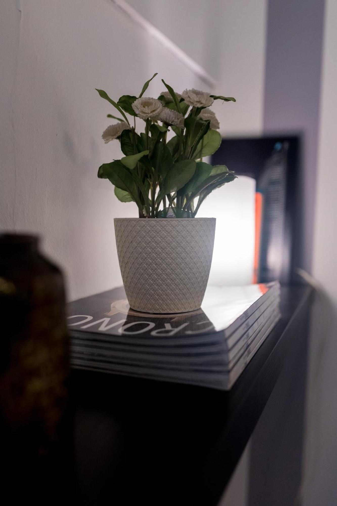 Inmyhome Pedro Antonio Căn hộ Granada