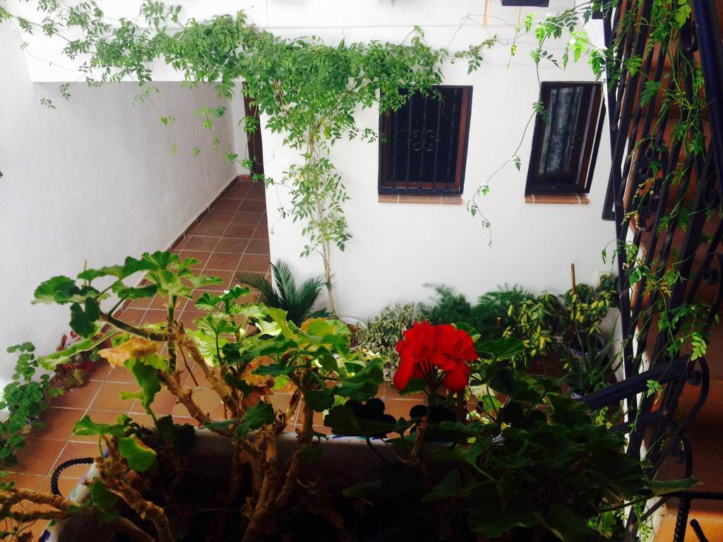 Casa Callejon De Echevarria Apartment *
