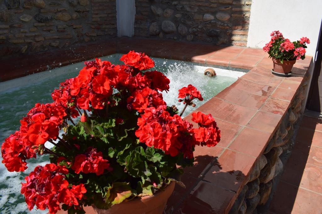 Apartment Carmen De Ramilla, Encantadora Con Piscina Soleada *