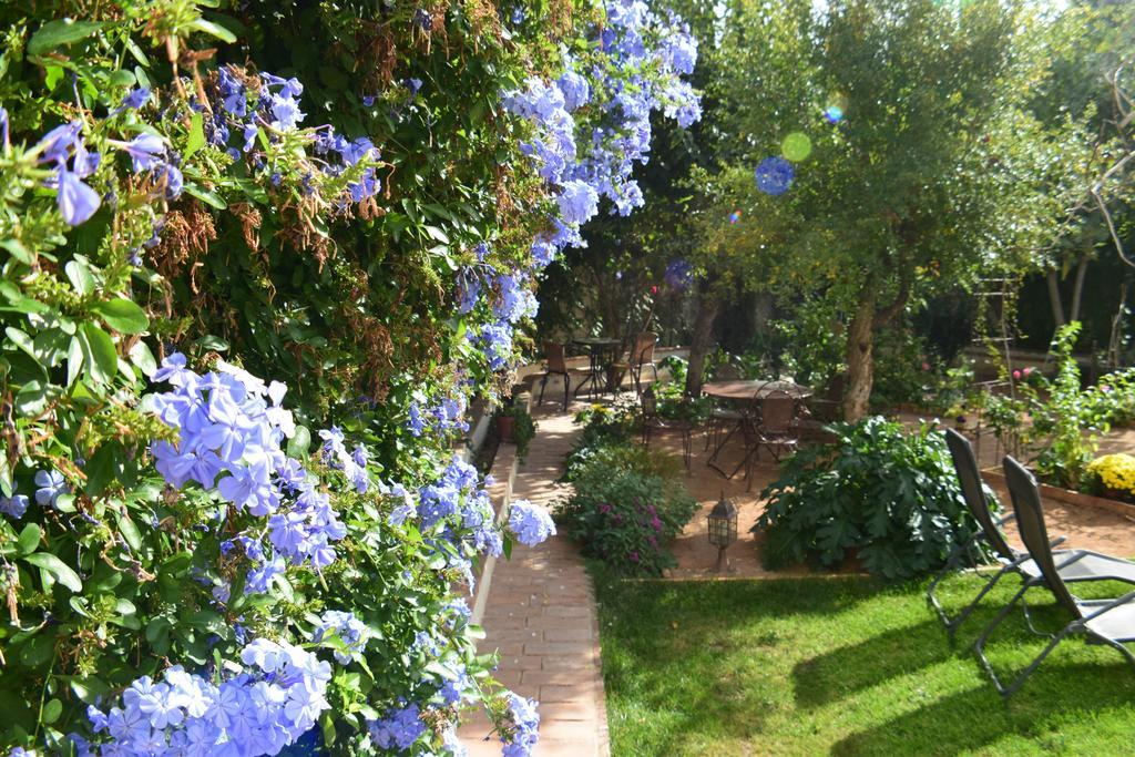 Apartment Carmen De Ramilla, Encantadora Con Piscina Soleada