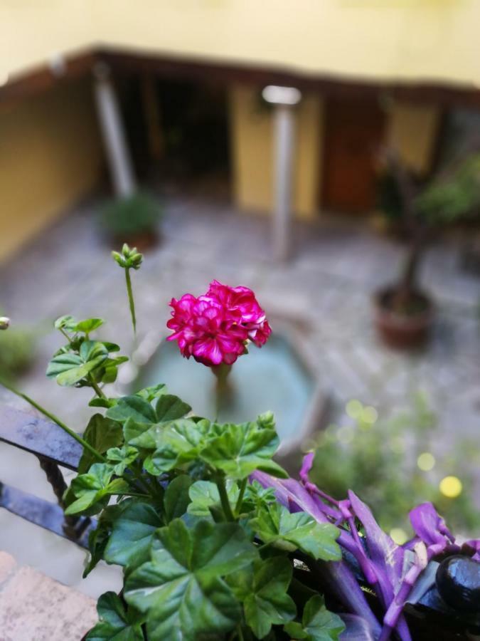 Alh Patio Apartment Granada