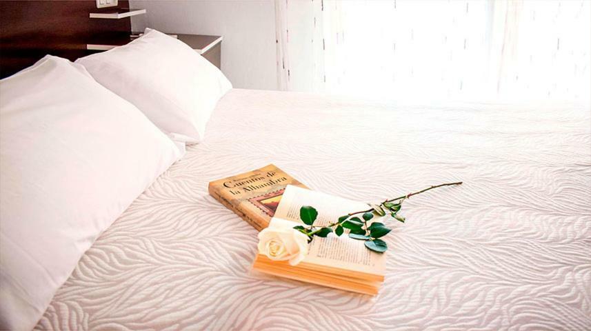 Hotel Albero