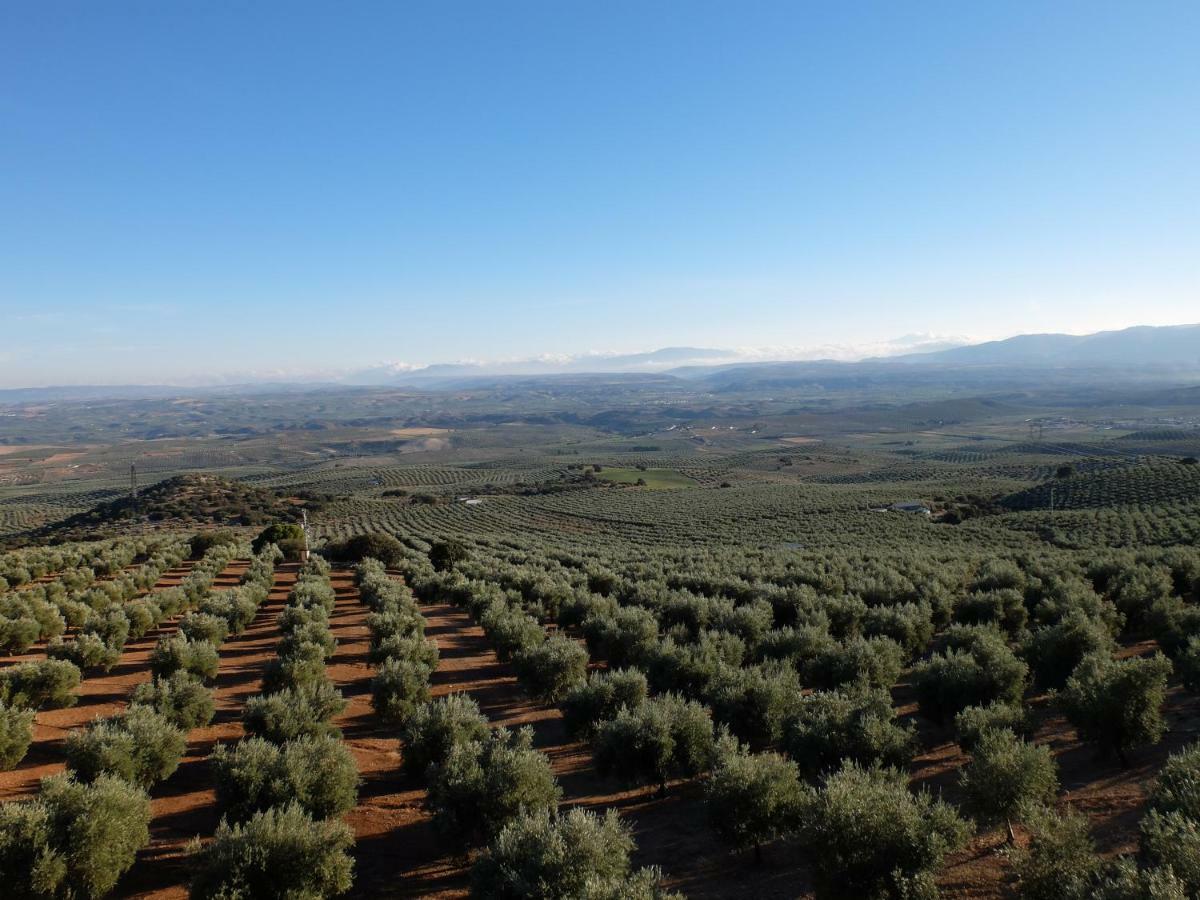 Cortijo El Carretero, Vistas Y Tranquilidad Country house