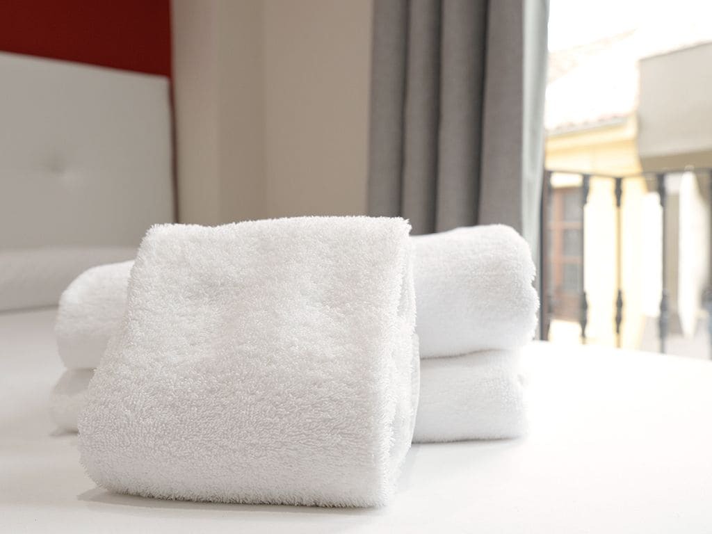 Apartment Mesones 18 3000