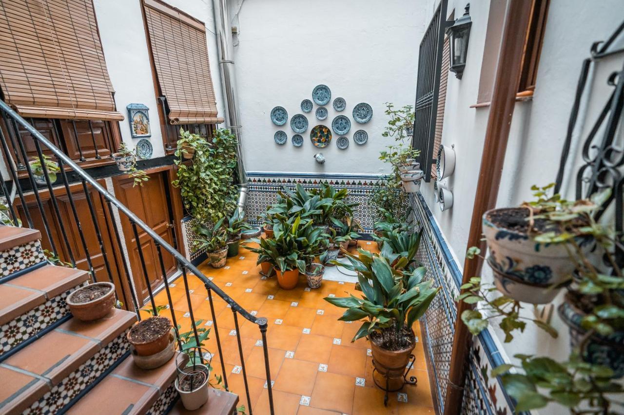 Veronica Centro Granada