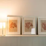 Tuguest San Cecilio Apartment