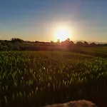 Cortijo Montesanto S. XVII