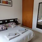 Disfruta Granada,Incluso Con Tu Mascota Parking
