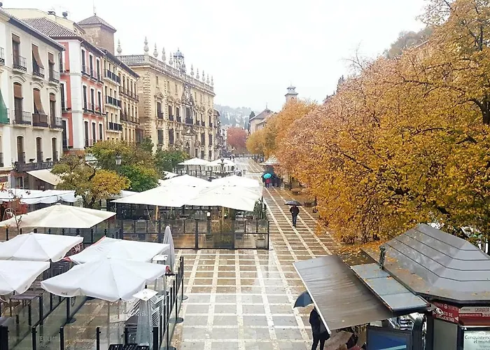 Luxury Suites Plaza Nueva