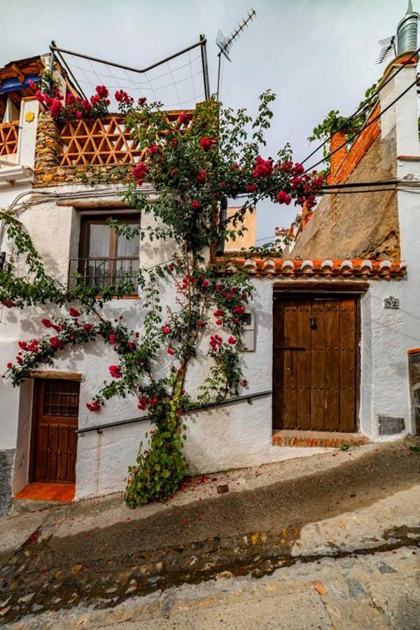 Landhaus Casa Fuensanta Balcon Al Mar De La Alpujarra *