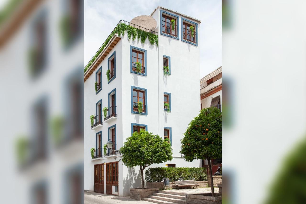 Apartamento Sueno De Elvira *