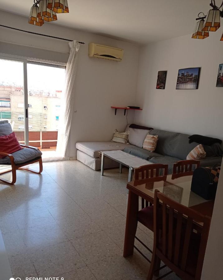 Disfruta Granada,incluso Con Tu Mascota Parking