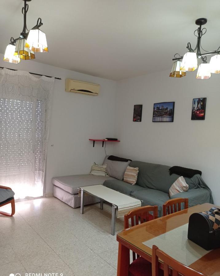 Disfruta Granada,incluso Con Tu Mascota Parking * Granada