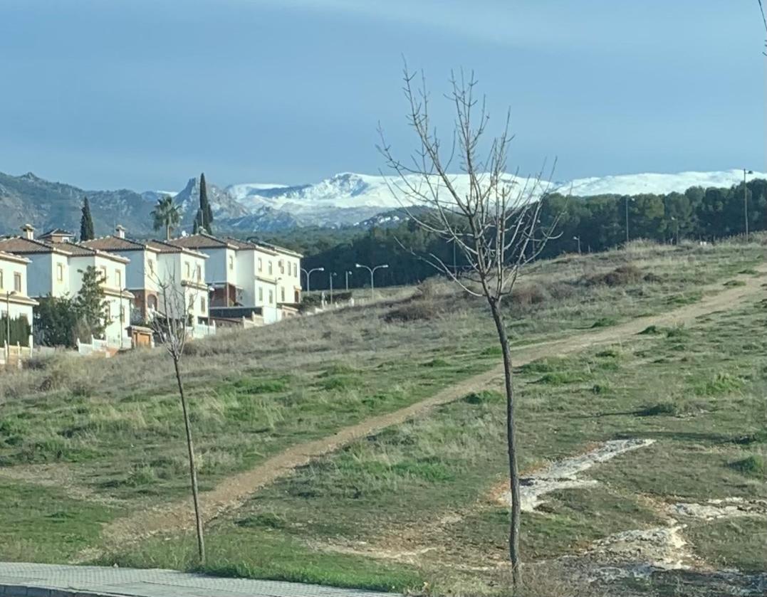 Mare A Pies De Sierra Nevada *
