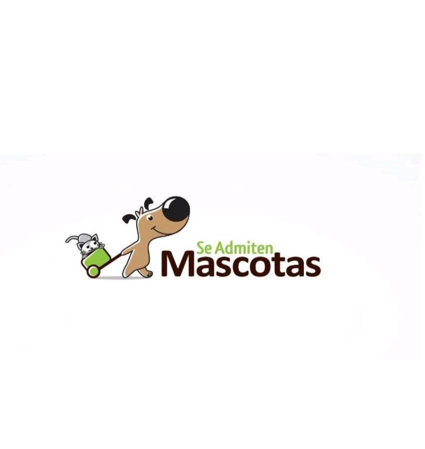 Disfruta Granada,incluso Con Tu Mascota Parking * Granada