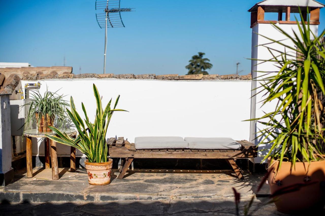 Bed & Breakfast Casa Po