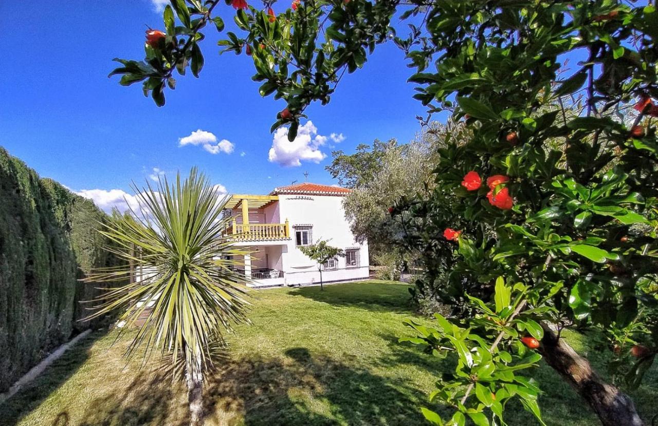 Villa De Los Suenos En Granada *