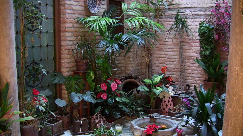 Alfin Guest house