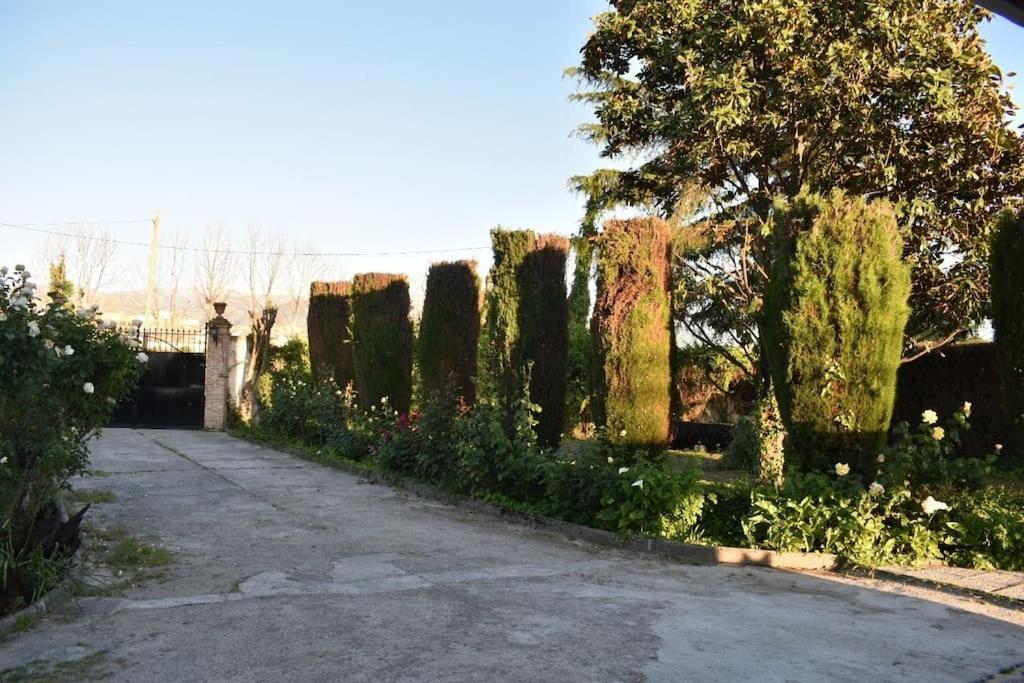 Vivienda Rural Huerta Del Medio Granada