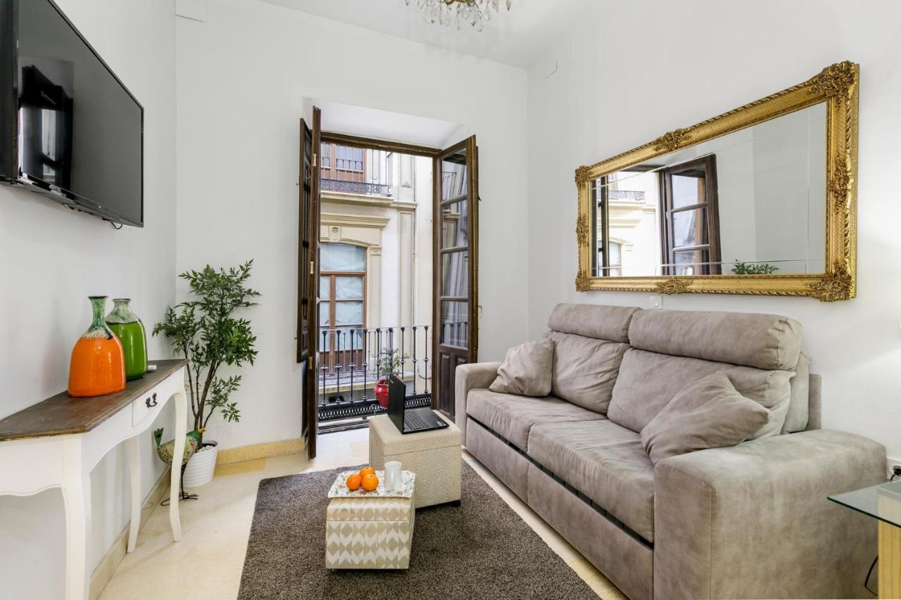 Apartamento Alcaiceria Apartment Granada