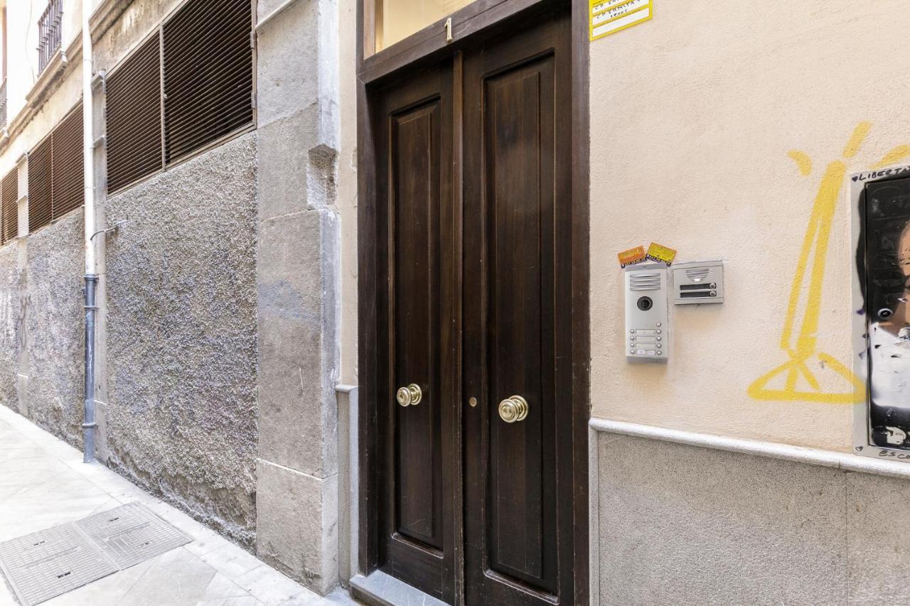 Apartamento Alcaiceria Apartment Granada