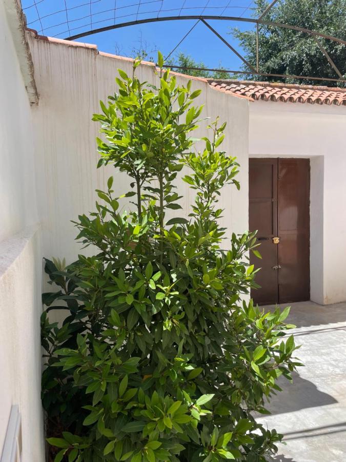 La Casita De San Nicolas