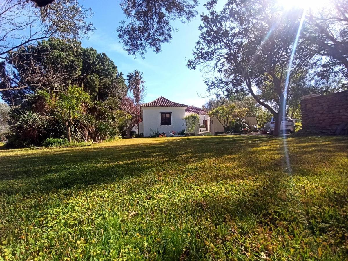 Oasis De Frescura En Verano Villa *