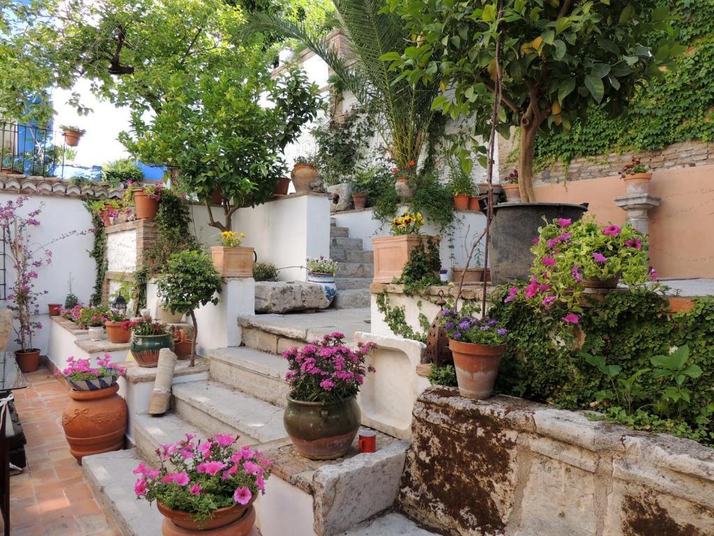 Palacio Del Cobertizo De Santa Ines Bed & Breakfast