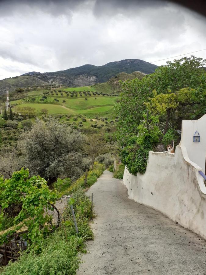 Chalé Cortijo La Mata Granada