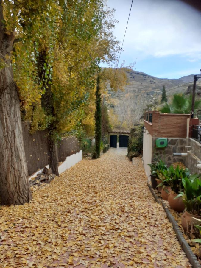 Cortijo La Mata * Granada