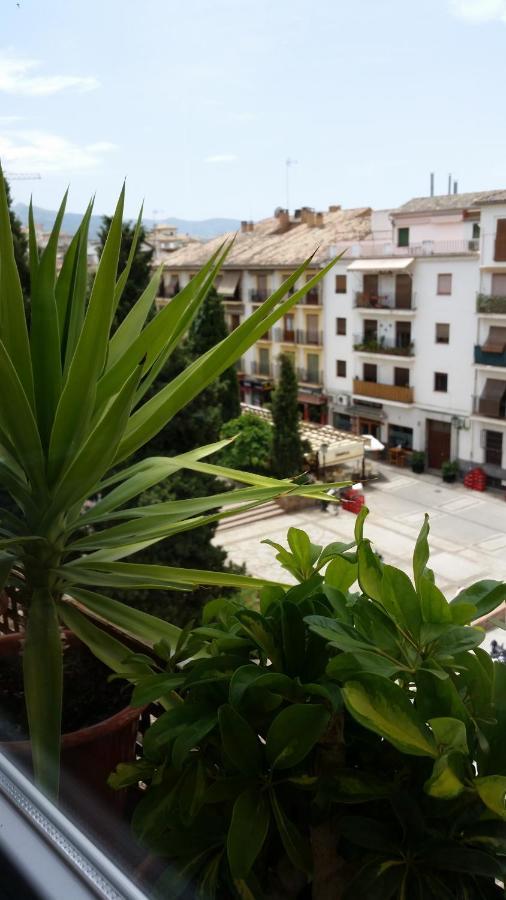 Guest house La Ninfa *