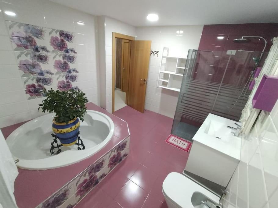 Entero Privado Apartment