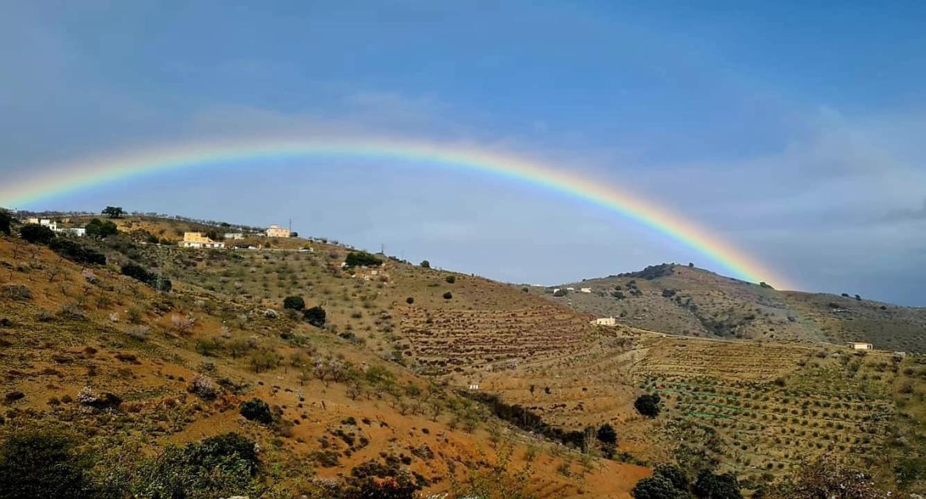 Holiday home Cortijo Pilares