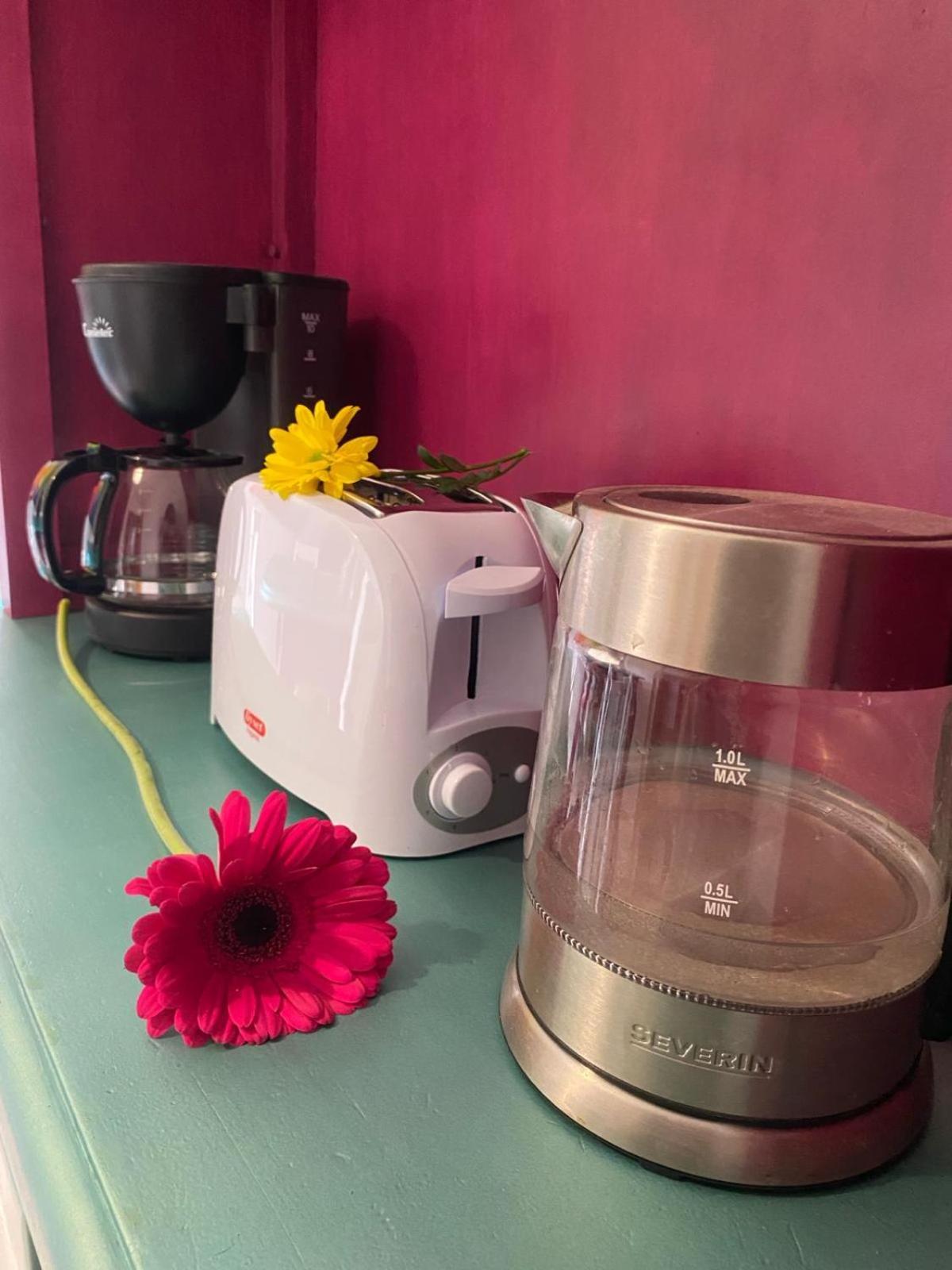 Stagging New Life Apartamento Granada